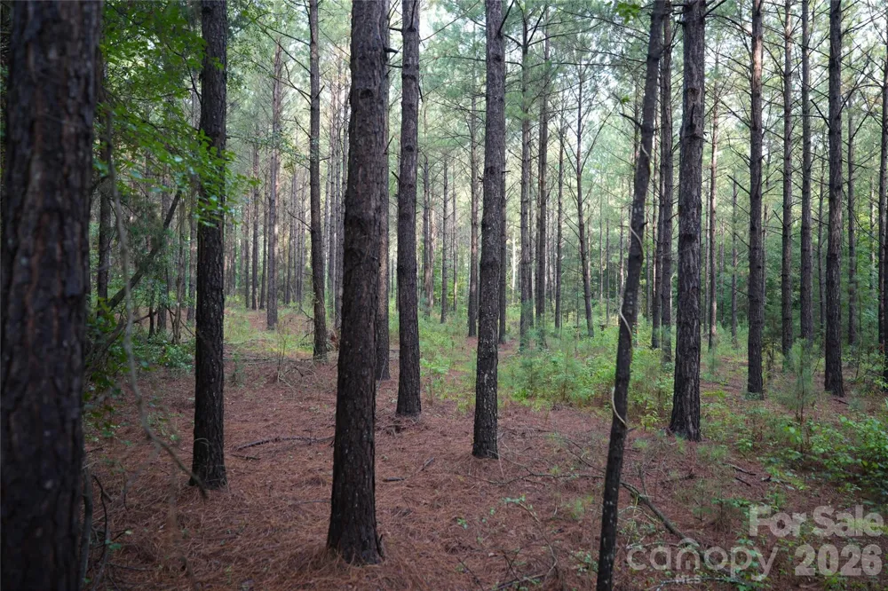 00 Bobby Faucette Road #8 Jonesville, SC 29353