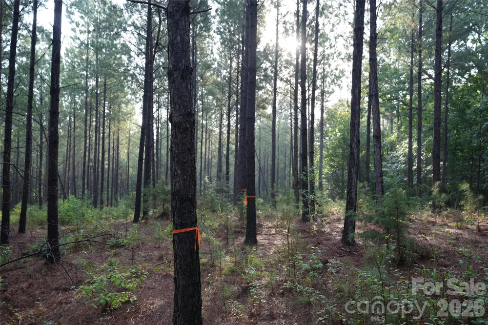 00 Bobby Faucette Road #8 Jonesville, SC 29353