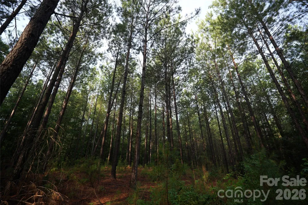 00 Bobby Faucette Road #8 Jonesville, SC 29353