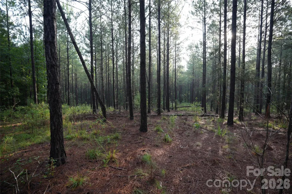 00 Bobby Faucette Road #8 Jonesville, SC 29353