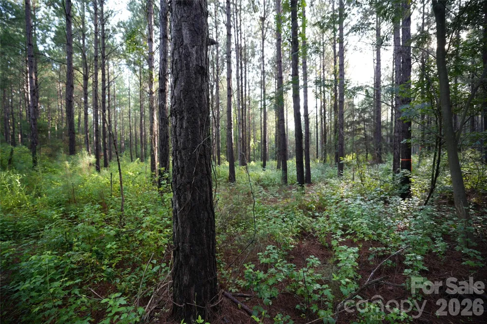 00 Bobby Faucette Road #8 Jonesville, SC 29353