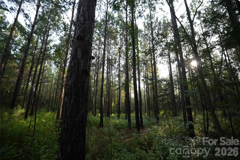 00 Bobby Faucette Road #8 Jonesville, SC 29353