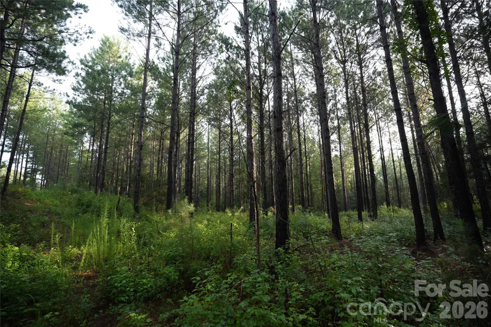 00 Bobby Faucette Road #8 Jonesville, SC 29353