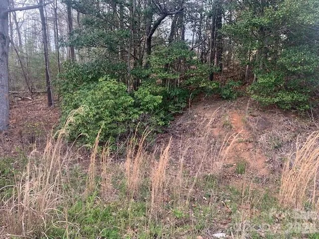 1.0AC HOLBERT COVE ROAD #2 Saluda, NC 28773