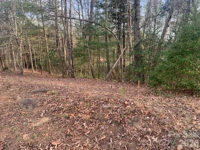 1.0AC HOLBERT COVE ROAD #2 Saluda, NC 28773