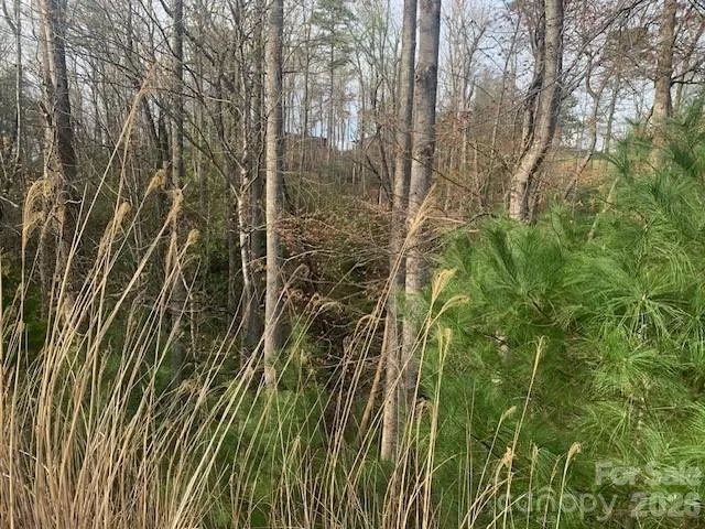 1.0AC HOLBERT COVE ROAD #2 Saluda, NC 28773