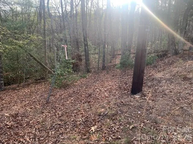 1.0AC HOLBERT COVE ROAD #2 Saluda, NC 28773