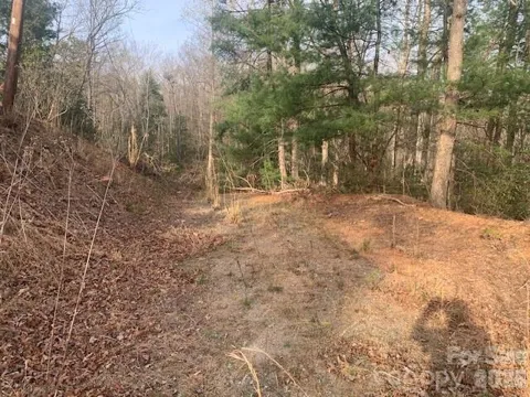 7.67 AC. HOLBERT COVE ROAD #7.67 AC.