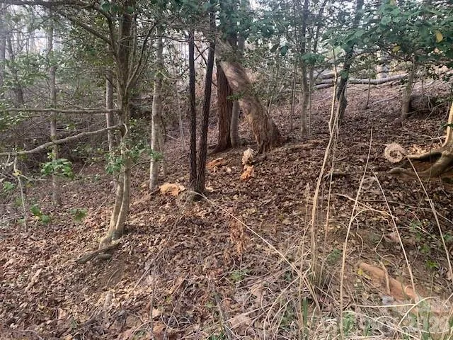 7.67 AC. HOLBERT COVE ROAD #7.67 AC. Saluda, NC 28773