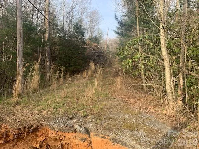 7.67 AC. HOLBERT COVE ROAD #7.67 AC. Saluda, NC 28773