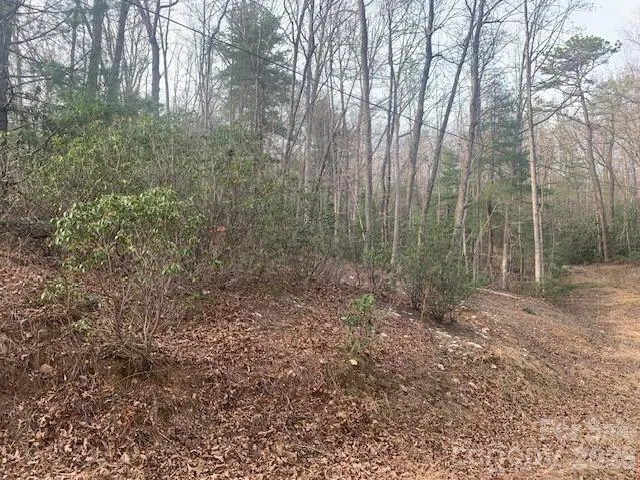 7.67 AC. HOLBERT COVE ROAD #7.67 AC. Saluda, NC 28773