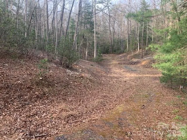 7.67 AC. HOLBERT COVE ROAD #7.67 AC. Saluda, NC 28773