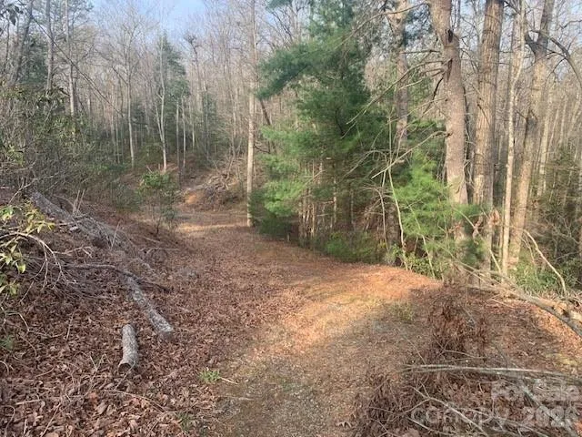 7.67 AC. HOLBERT COVE ROAD #7.67 AC. Saluda, NC 28773