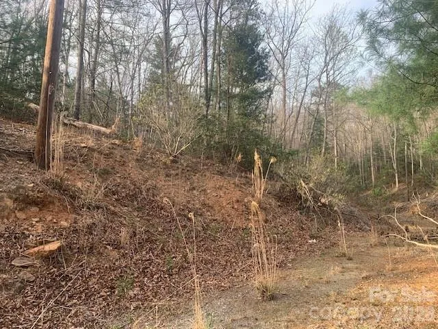 7.67 AC. HOLBERT COVE ROAD #7.67 AC. Saluda, NC 28773