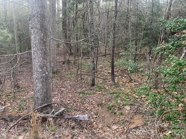 7.67 AC. HOLBERT COVE ROAD #7.67 AC. Saluda, NC 28773