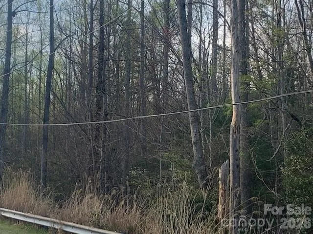 7.67 AC. HOLBERT COVE ROAD #7.67 AC. Saluda, NC 28773