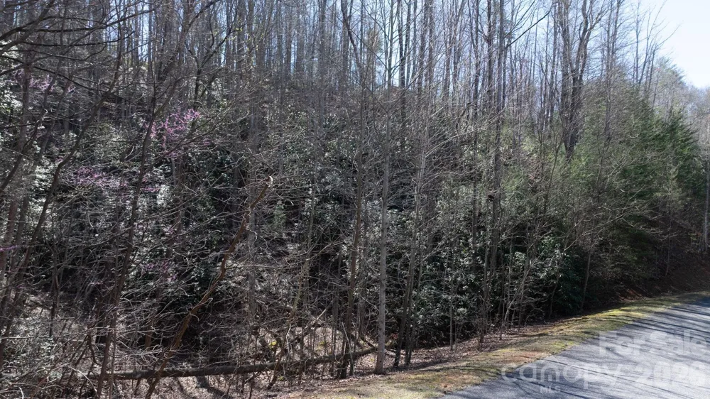 1342 High Trail Drive #Lot 27-11 Nebo, NC 28761