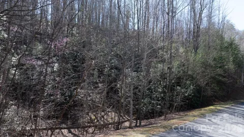 1342 High Trail Drive #Lot 27-11