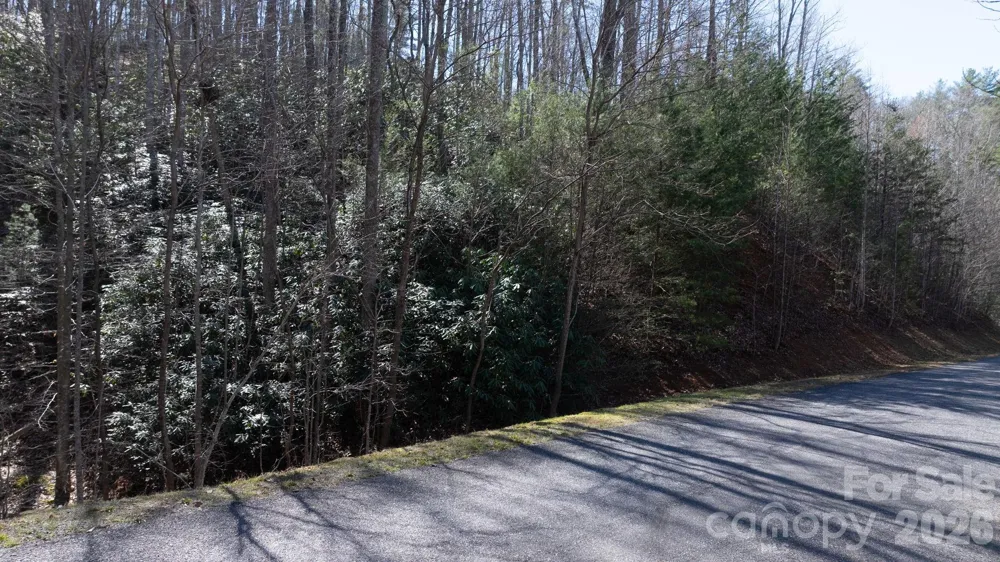 1342 High Trail Drive #Lot 27-11 Nebo, NC 28761