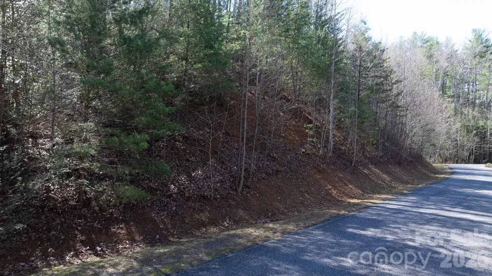 1342 High Trail Drive #Lot 27-11 Nebo, NC 28761