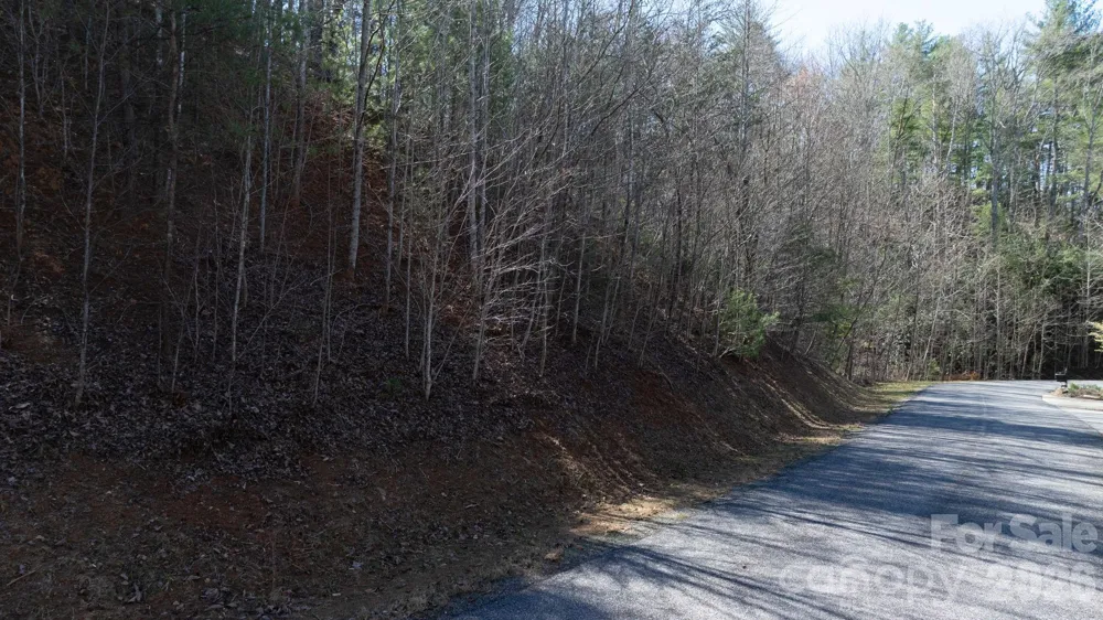 1342 High Trail Drive #Lot 27-11 Nebo, NC 28761