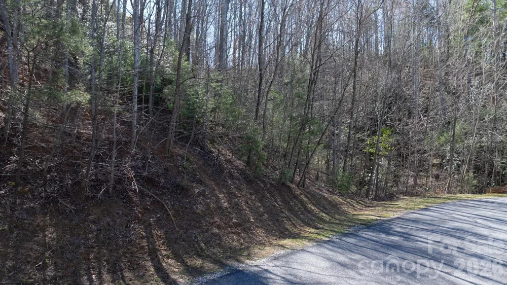 1342 High Trail Drive #Lot 27-11 Nebo, NC 28761