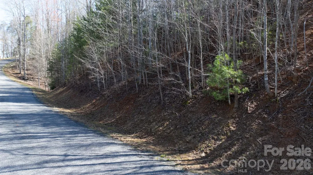1342 High Trail Drive #Lot 27-11 Nebo, NC 28761