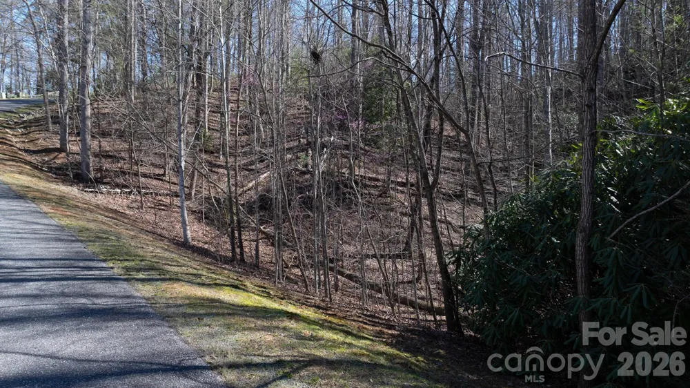 1342 High Trail Drive #Lot 27-11 Nebo, NC 28761