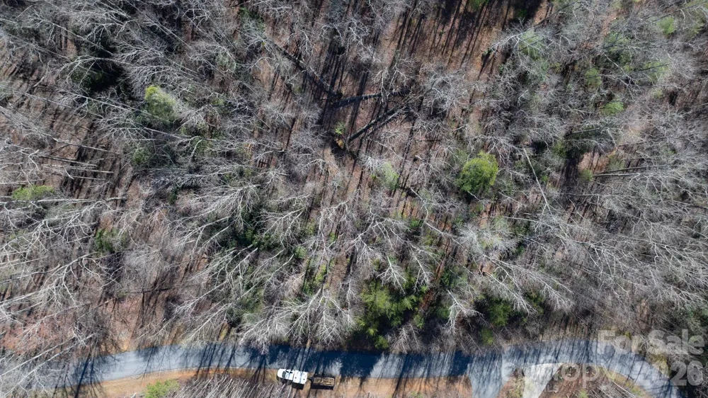 1342 High Trail Drive #Lot 27-11 Nebo, NC 28761