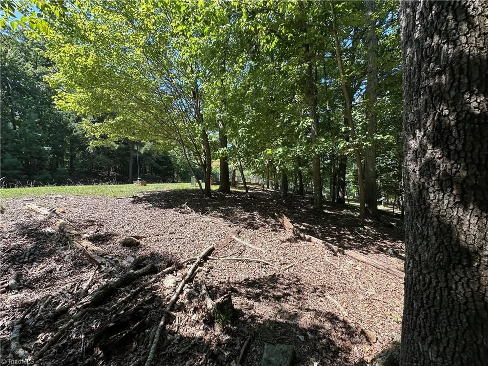 1768 Rocky Cove Lane Denton, NC 27239