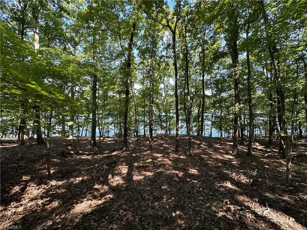1768 Rocky Cove Lane Denton, NC 27239