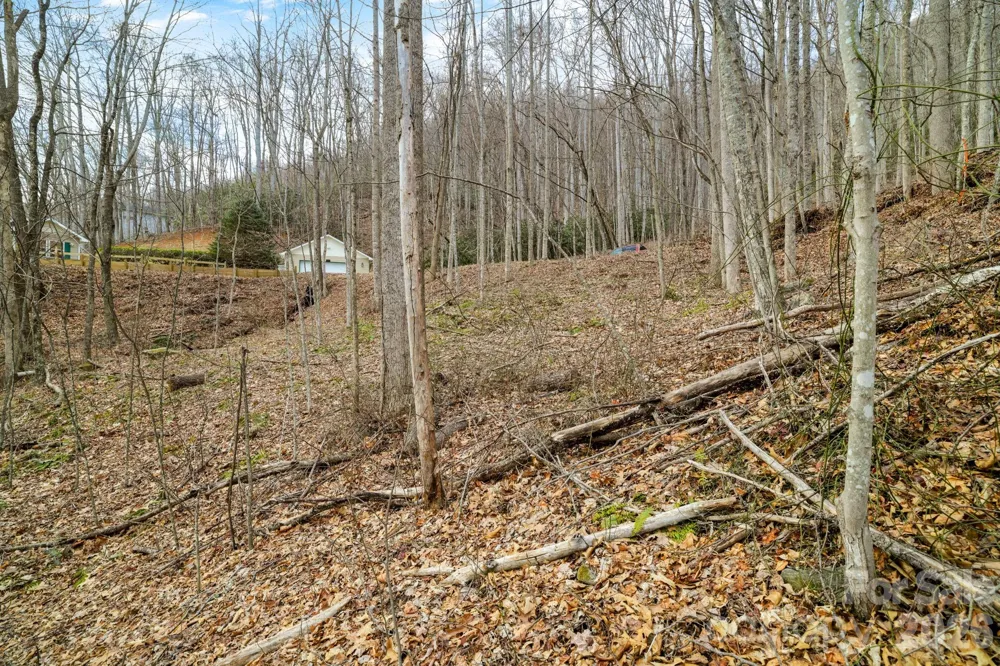 00 Sleepy Hollow Drive #6 Maggie Valley, NC 28751