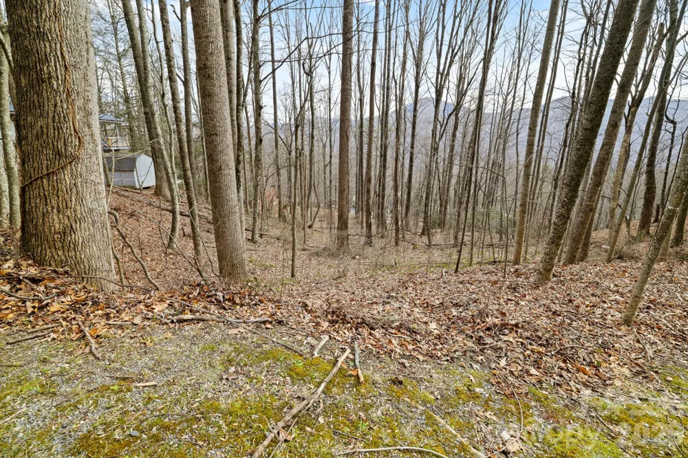00 Sleepy Hollow Drive #6 Maggie Valley, NC 28751