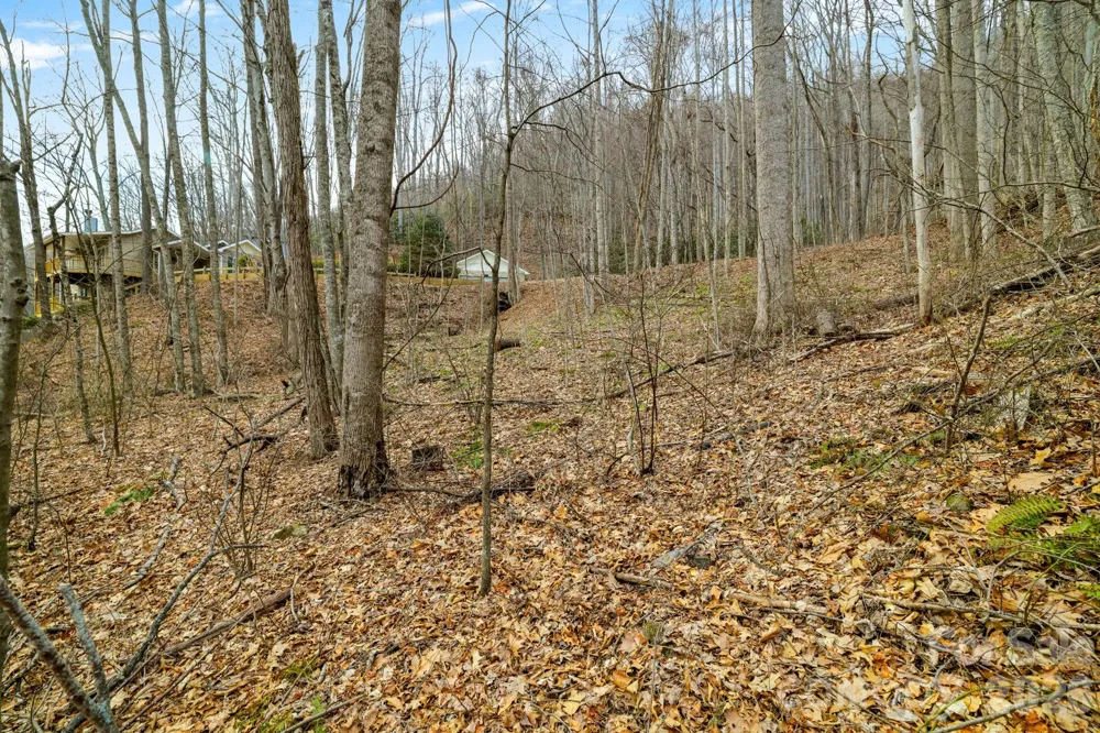 00 Sleepy Hollow Drive #6 Maggie Valley, NC 28751