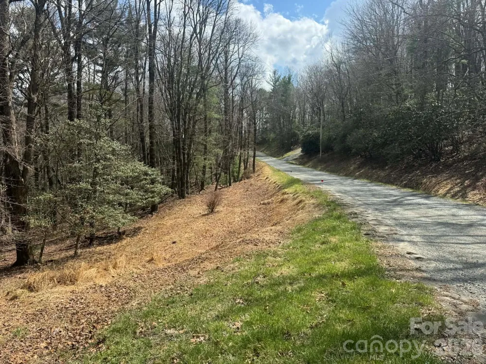 TBD Ward Circle Drive #33 Sparta, NC 28675
