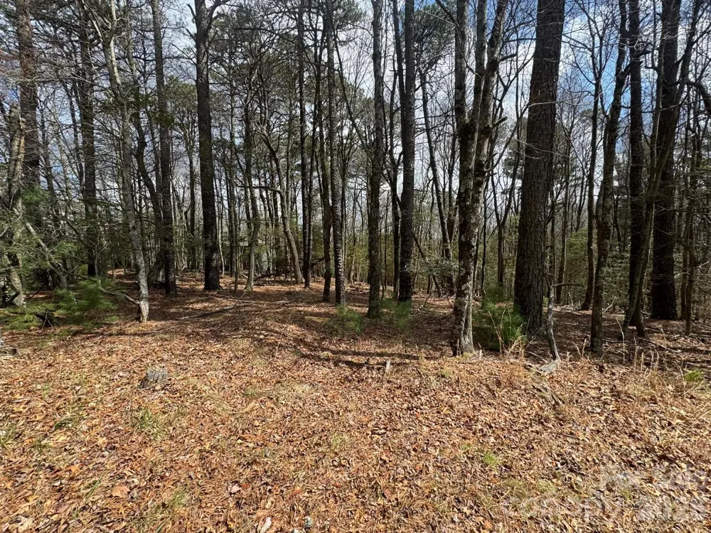 TBD Ward Circle Drive #33 Sparta, NC 28675