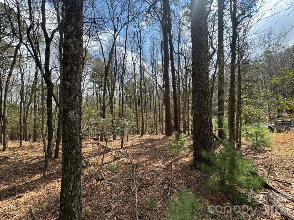 TBD Ward Circle Drive #33 Sparta, NC 28675