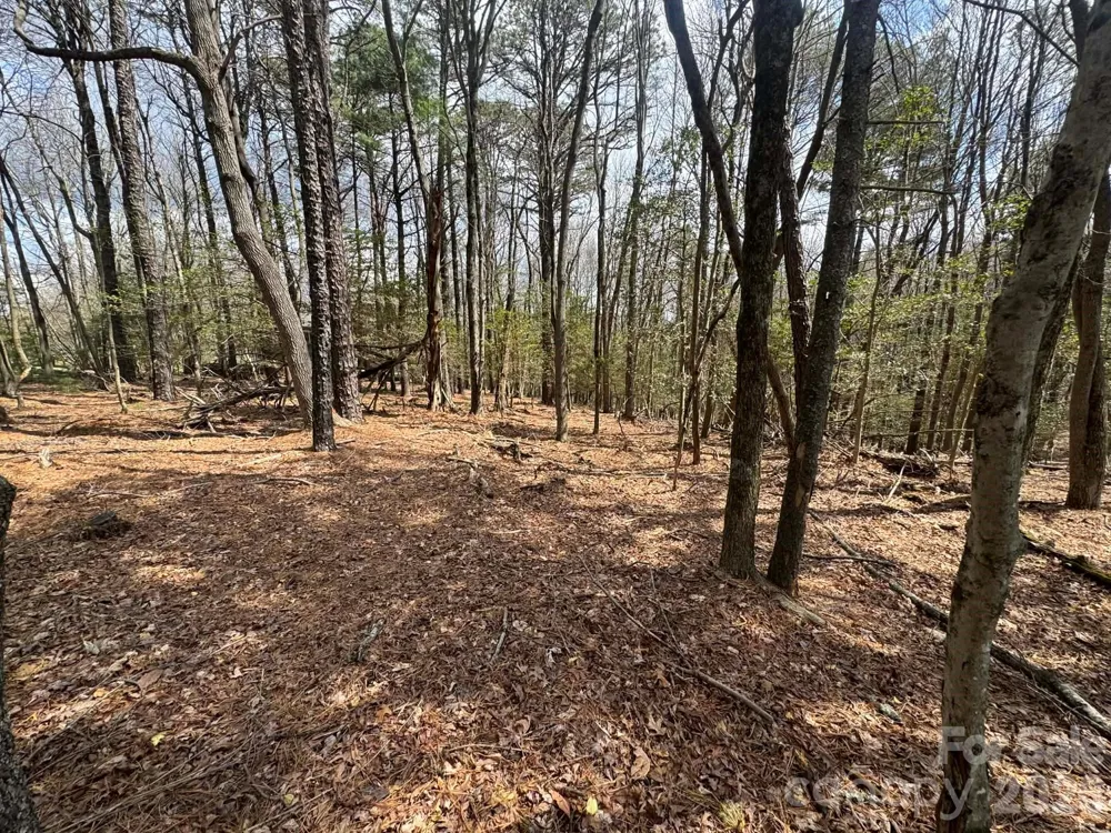 TBD Ward Circle Drive #33 Sparta, NC 28675