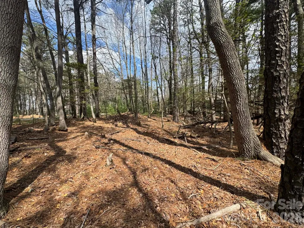 TBD Ward Circle Drive #33 Sparta, NC 28675