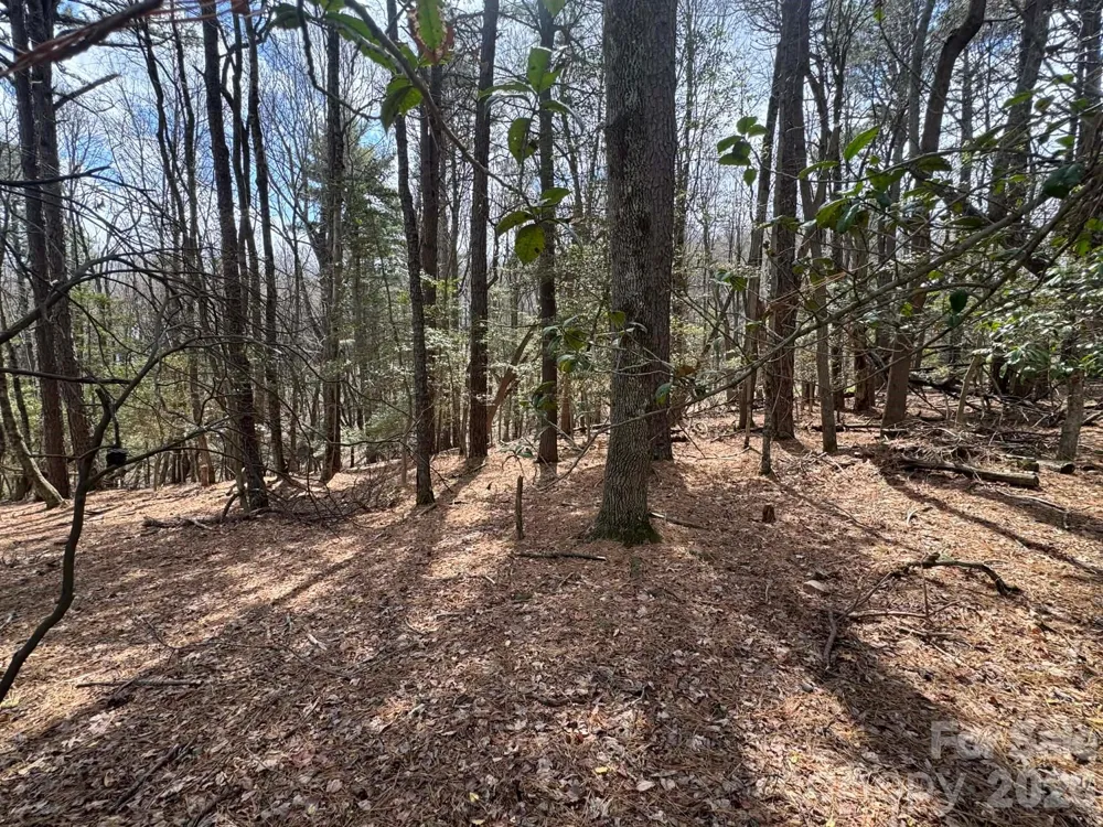 TBD Ward Circle Drive #33 Sparta, NC 28675