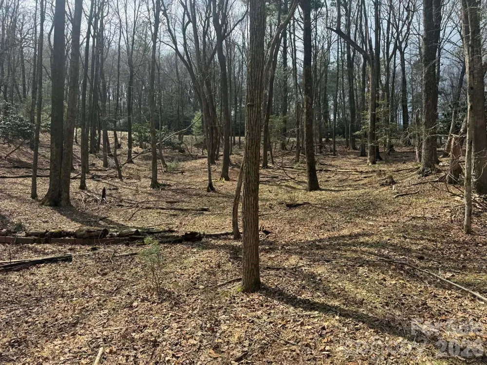 TBD Ward Circle Drive #33 Sparta, NC 28675