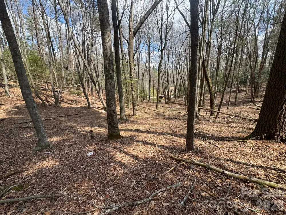 TBD Ward Circle Drive #33 Sparta, NC 28675