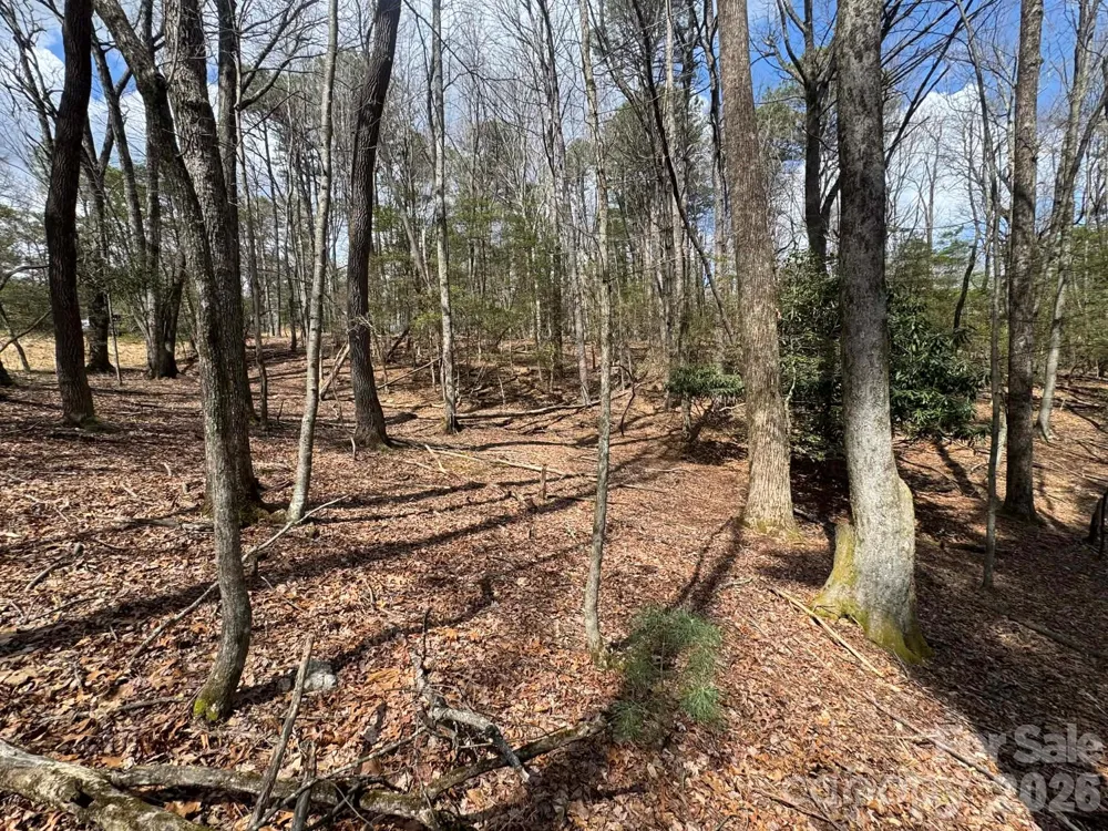 TBD Ward Circle Drive #33 Sparta, NC 28675