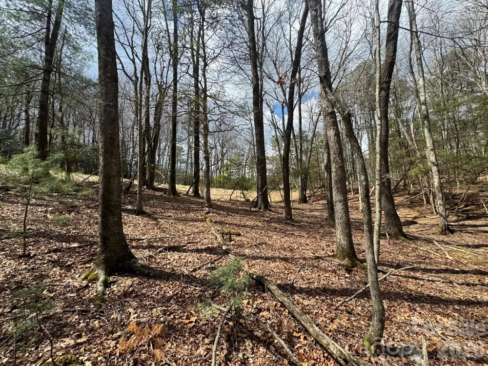 TBD Ward Circle Drive #33 Sparta, NC 28675