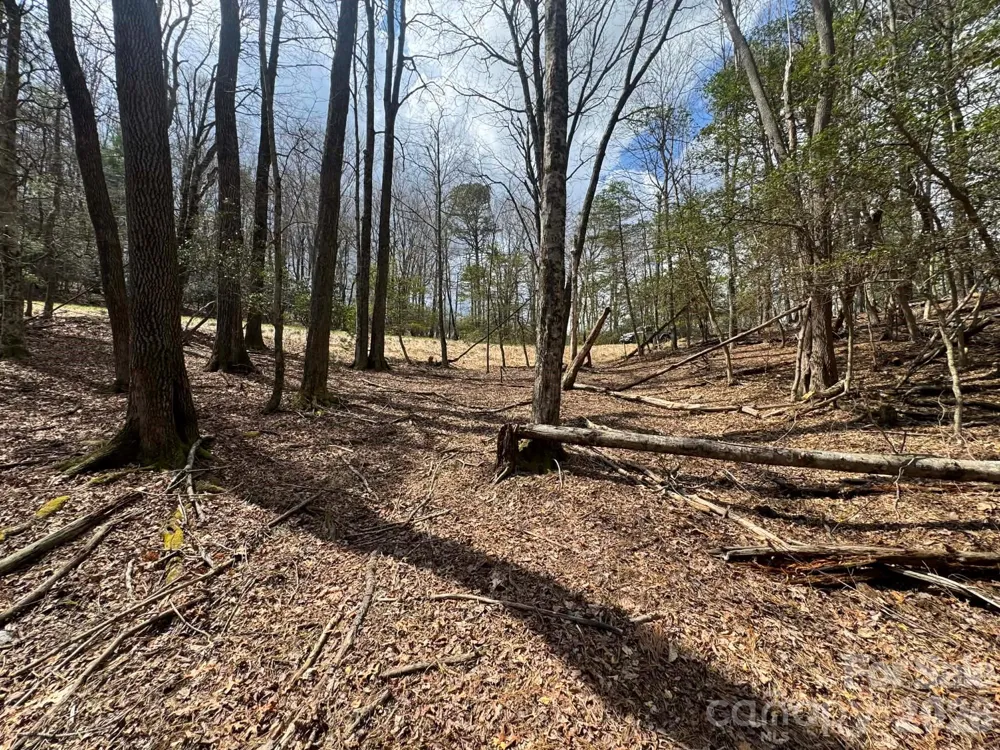 TBD Ward Circle Drive #33 Sparta, NC 28675
