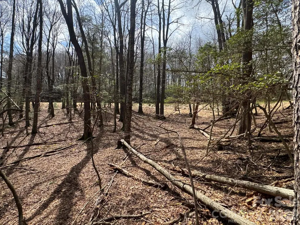 TBD Ward Circle Drive #33 Sparta, NC 28675
