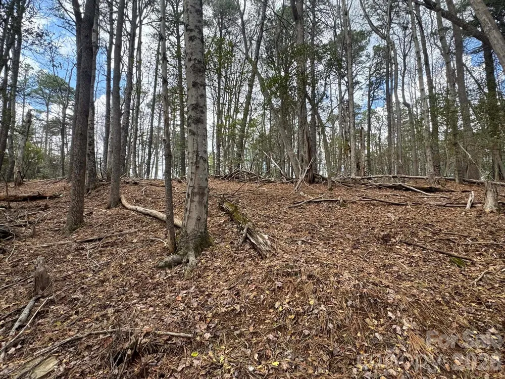 TBD Ward Circle Drive #33 Sparta, NC 28675