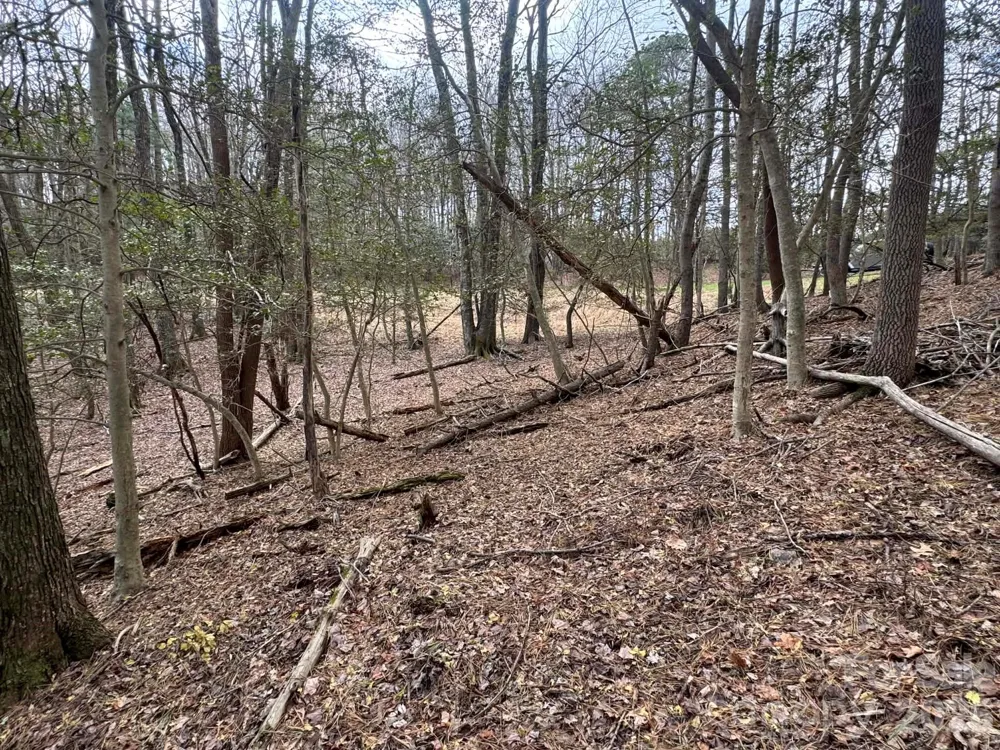 TBD Ward Circle Drive #33 Sparta, NC 28675