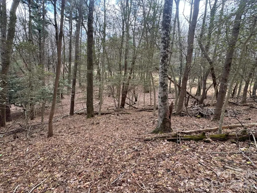 TBD Ward Circle Drive #33 Sparta, NC 28675