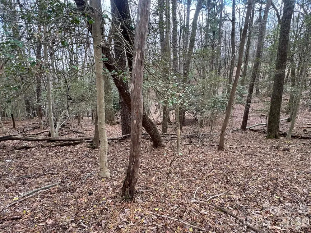TBD Ward Circle Drive #33 Sparta, NC 28675